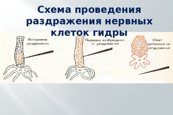 Как войти на сайт кракен