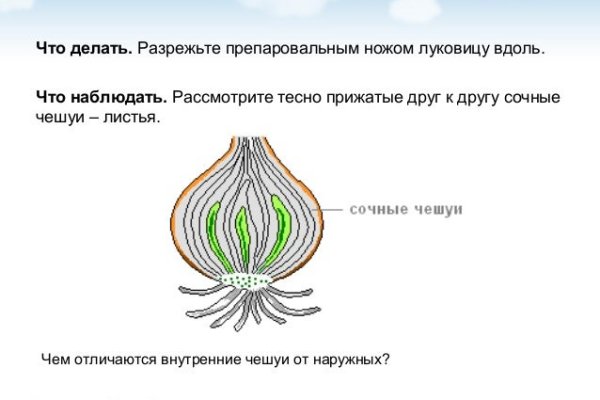 Кракен мага