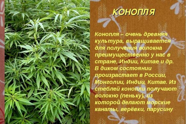 Кракен маркет только через тор скачать