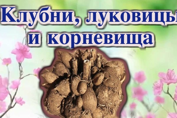 Как войти в даркнет