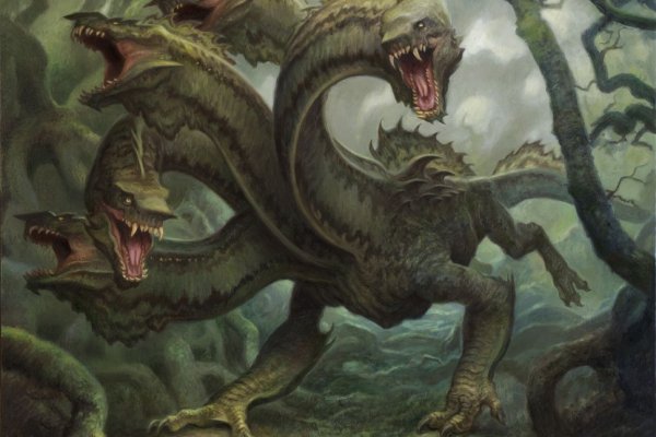 Kraken 13at