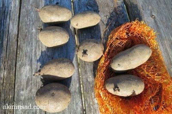 Кракен ссылка официальная на тор