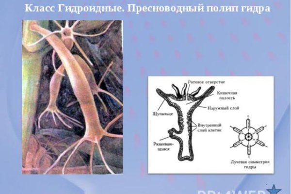 Кракен площадка vk2 top
