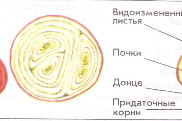 Кракен ссылка германия