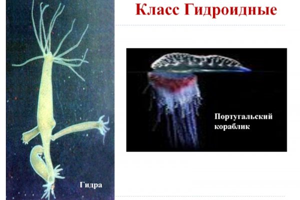 Кракен адрес тор