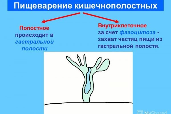 Kraken darknet market ссылка
